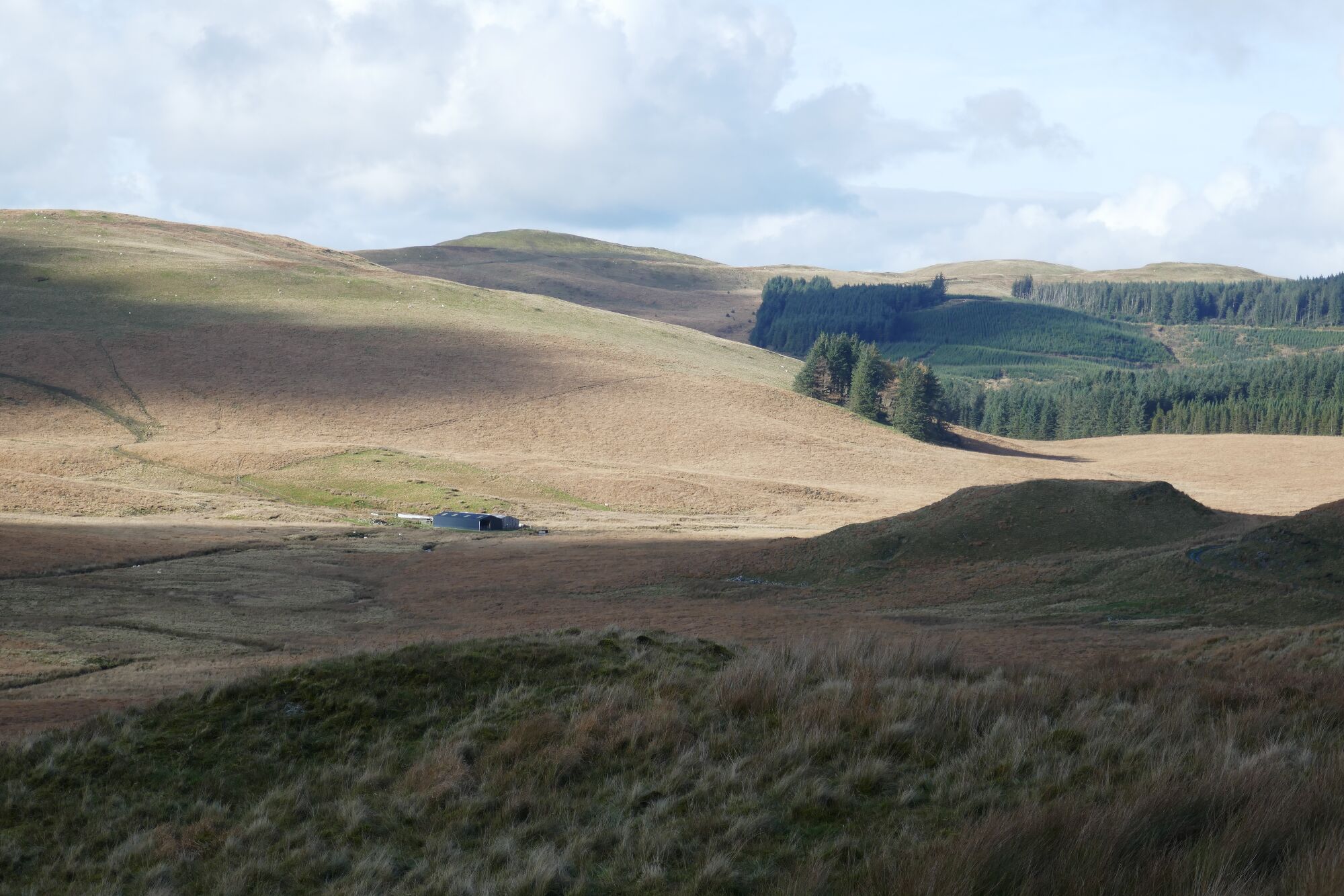 RachelSeabrook.net | Wild Walking | Cwm Hengwm | pic28